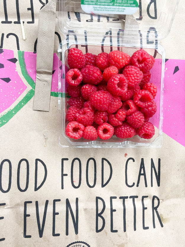 פיקניק בסנטרל פארק