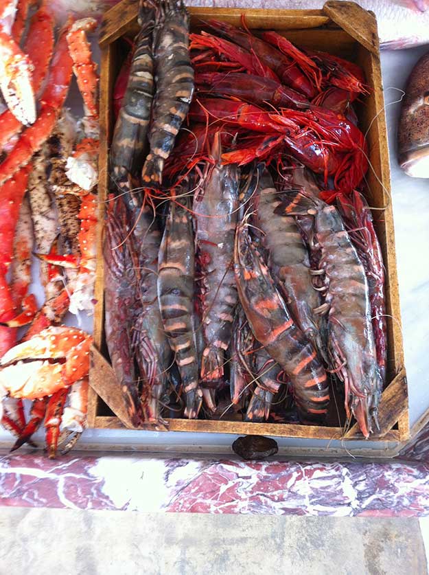 בנאמוס בתפריט מזנון דגים ופירות ים מרהיב