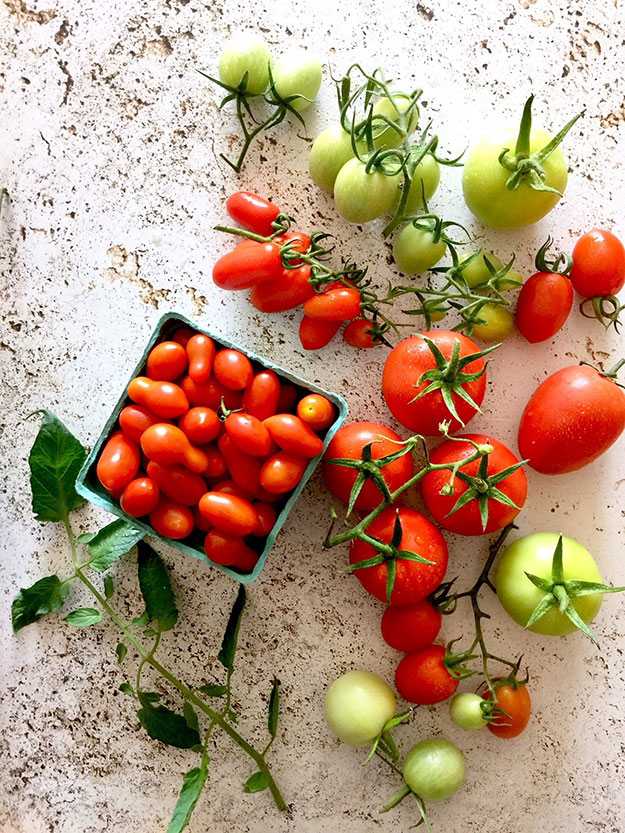 עגבניות צבעוניות שרי ועגבניות מורשת